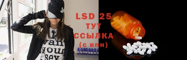 гидра Магас