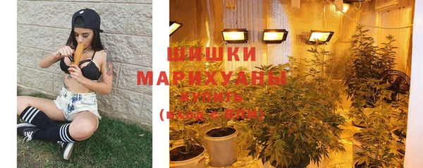 гидра Магас