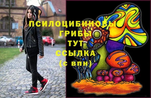 гидра Магас