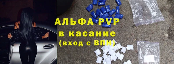 гидра Магас