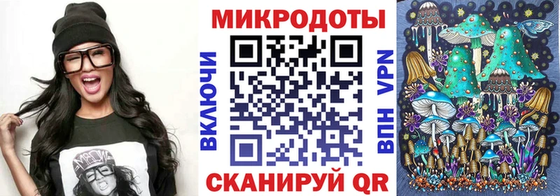 блэк спрут ссылки Рузаевка Псилоцибиновые грибы Psilocybine cubensis