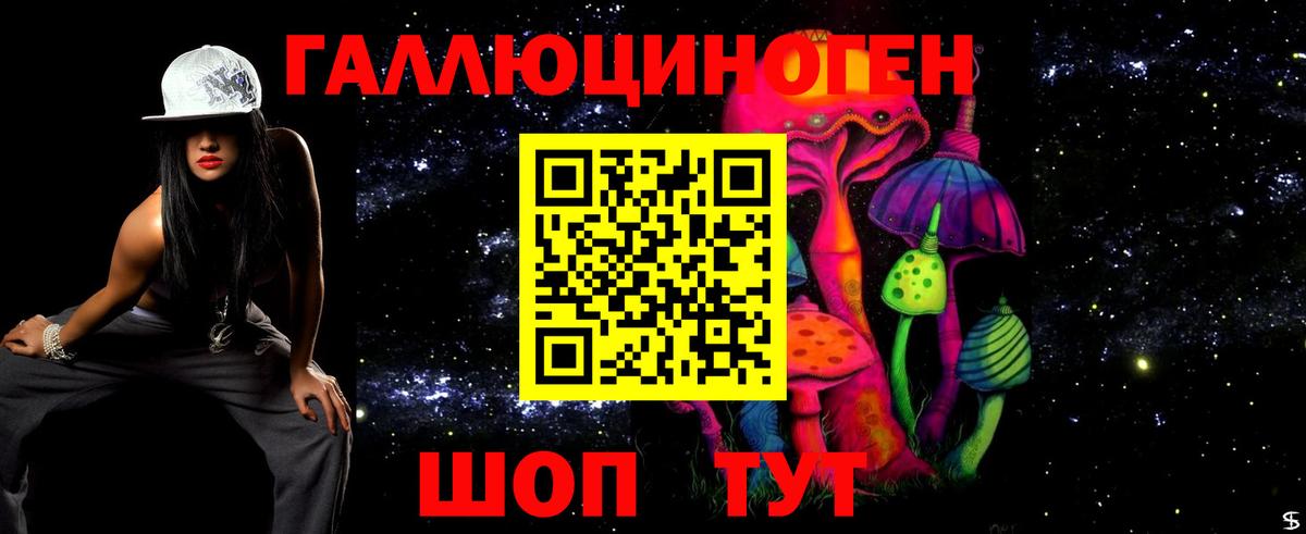 Рузаевка  Галлюциногенные грибы Cubensis  Вход с VPN 