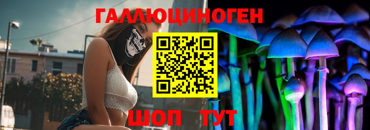 Псилоцибиновые грибы Psilocybine cubensis Рузаевка