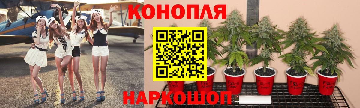Бошки Шишки семена Рузаевка